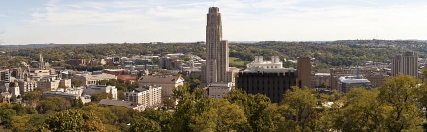 127765_14479-20191212-110935-Pittpanoramic.jpg