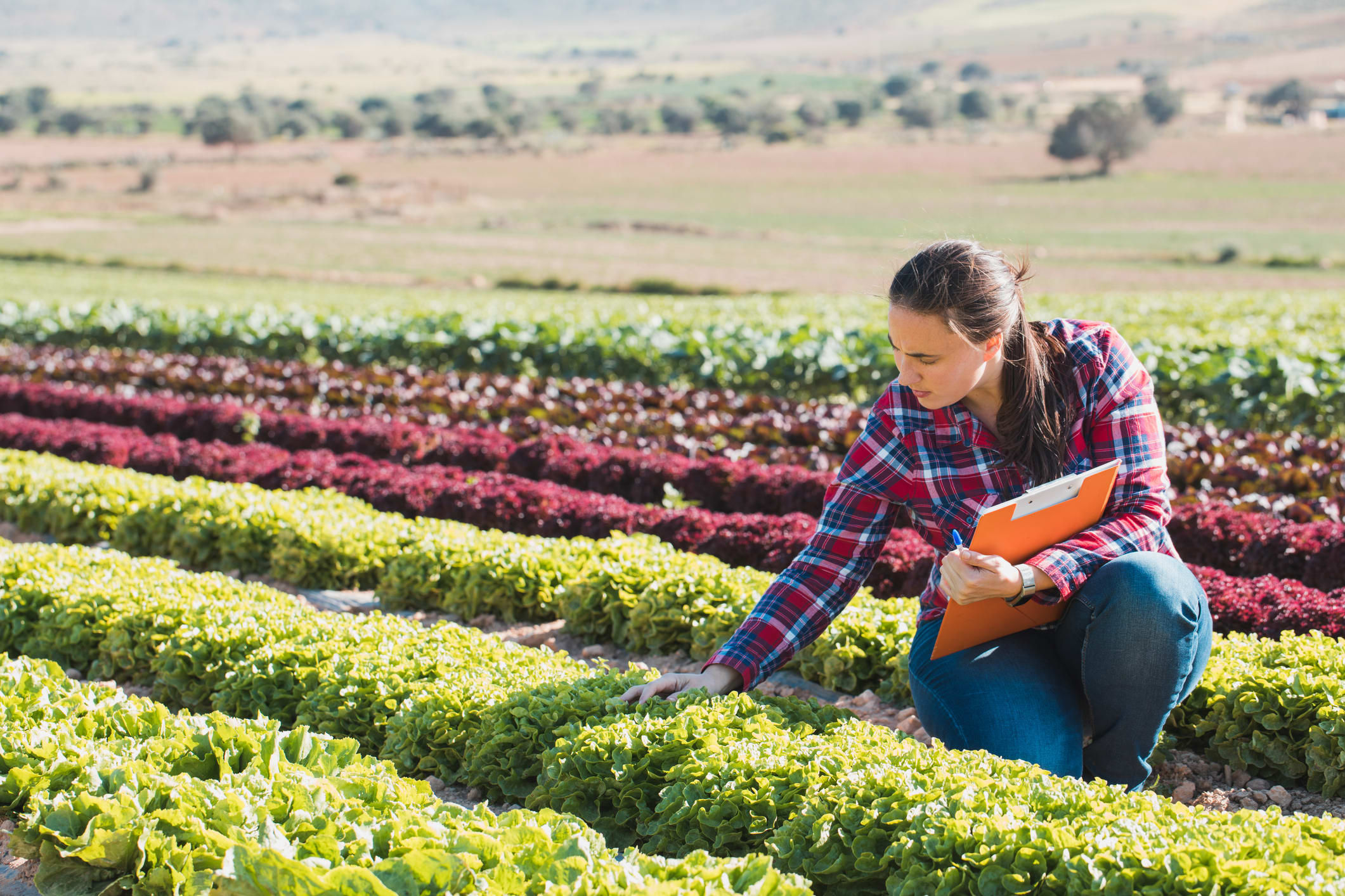 How Students and Researchers Can Create a Greener Food System