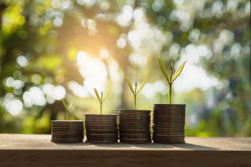 silver coin stack and tree in concept of growth business background.