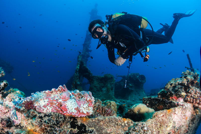 Diver with stonefish at shipwreck