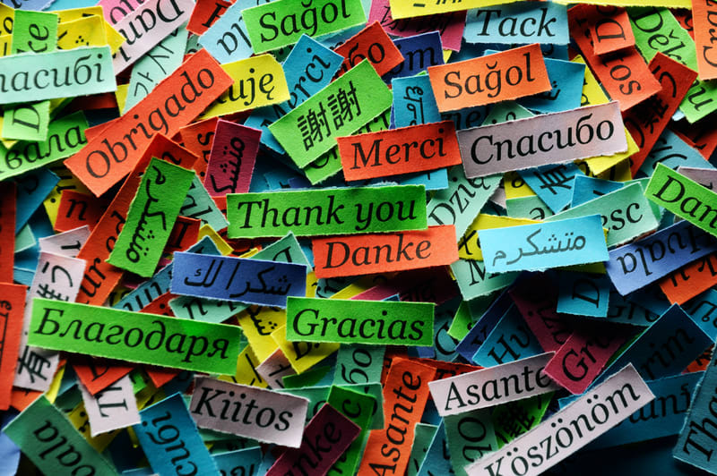 Thank You Word Cloud printed on colorful paper different languages