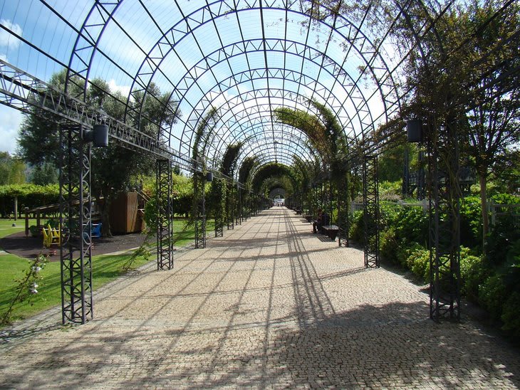 Diseño de jardín