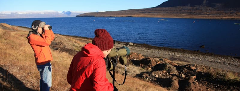 Why Study a Master in Marine Management in Iceland