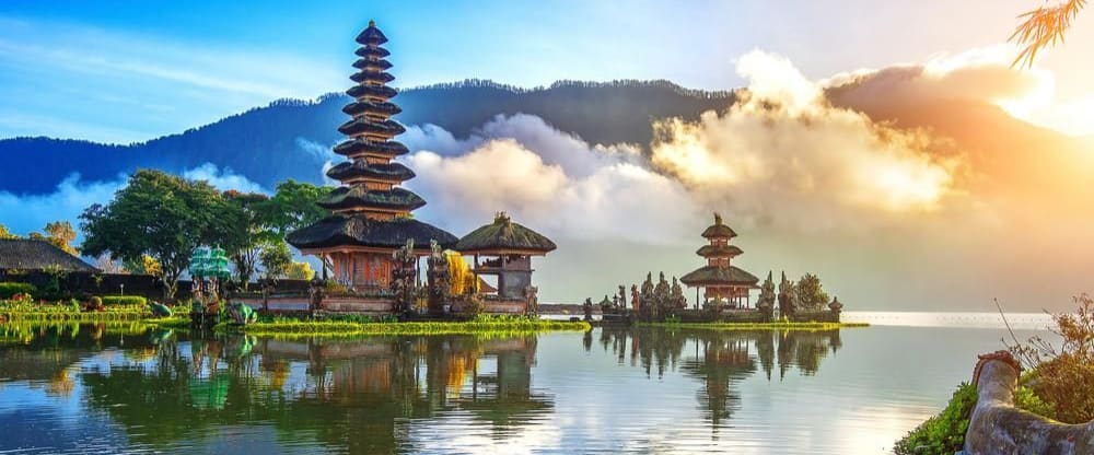 5 Reasons to Study Business in Bali