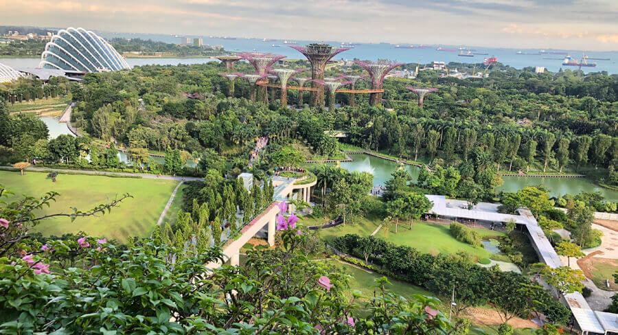 Aerial photography of Gardens by the Bay, Singapore