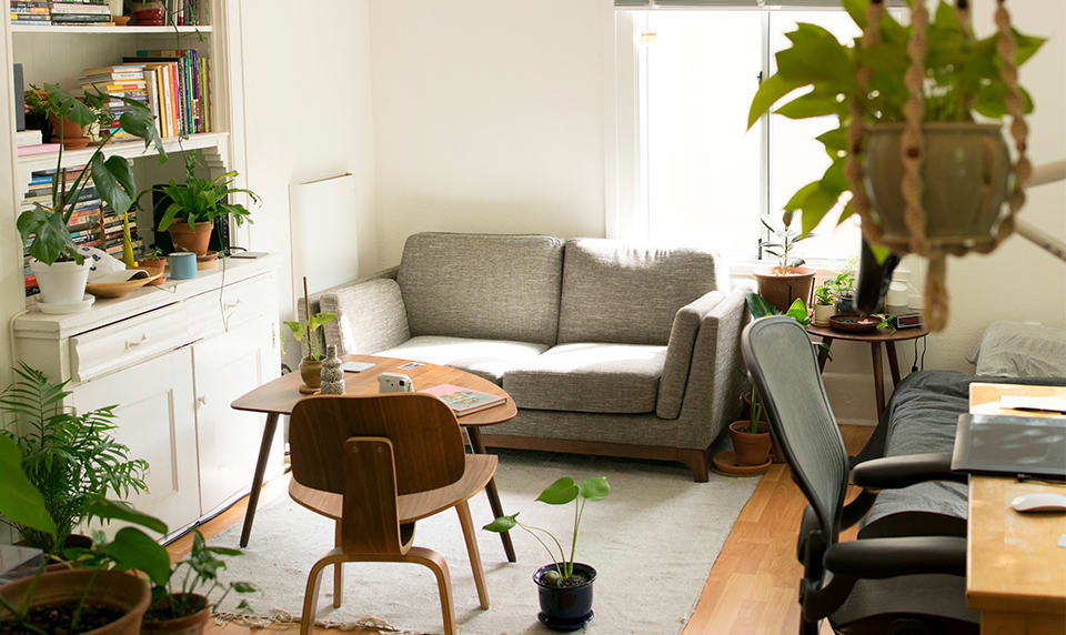 A beautifully designed living room with lots of indoor plants