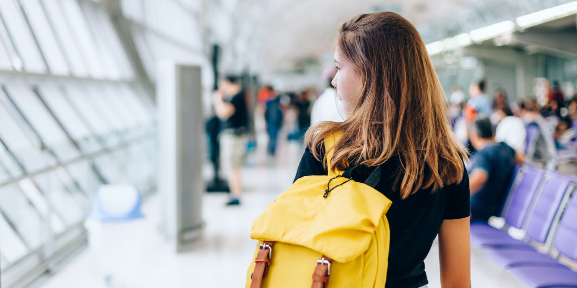Where should i study abroad quiz