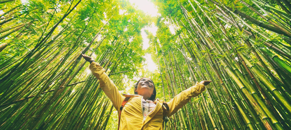 8 Top Sustainable Universities Making an Impact in the World