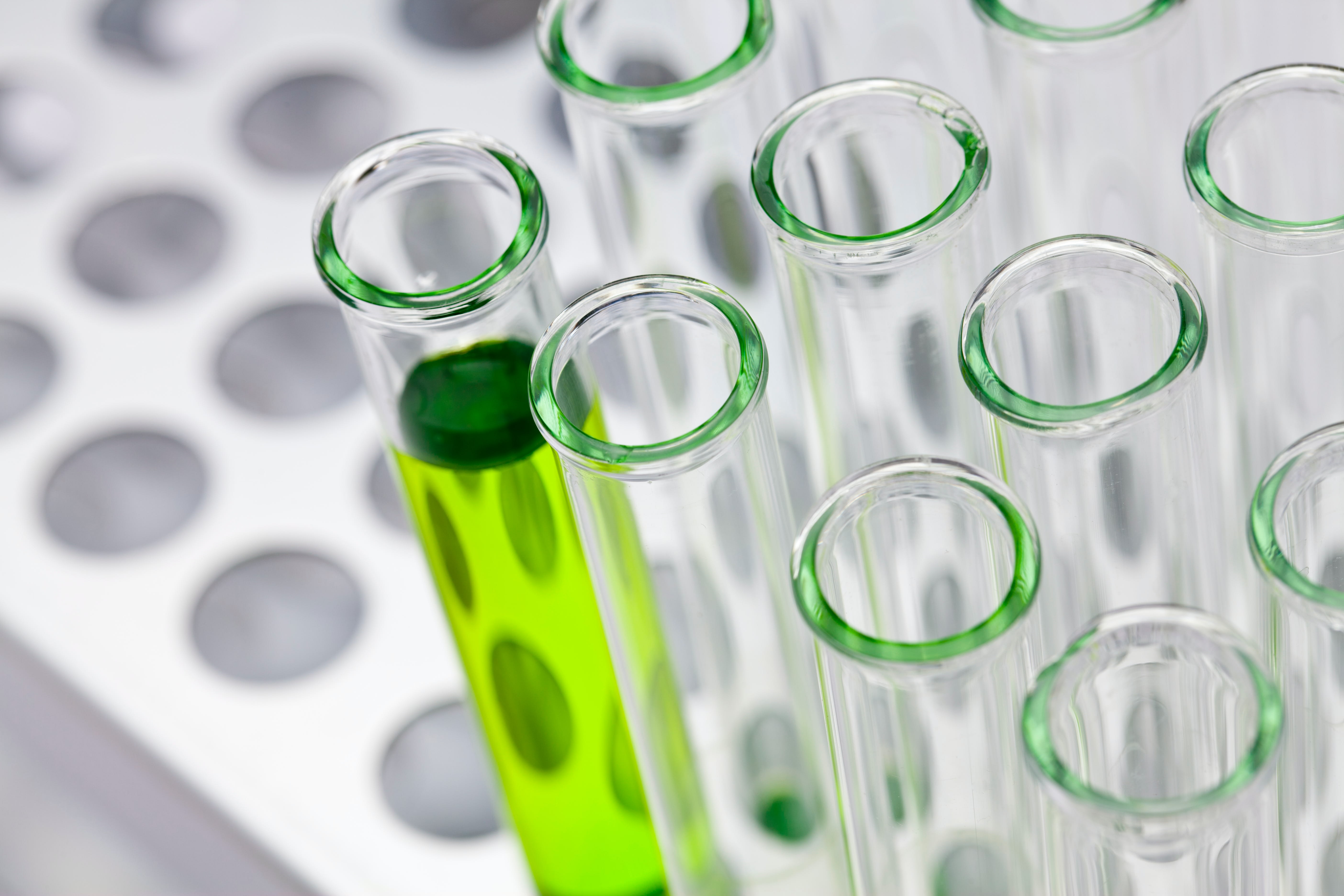 Test tubes in metal rack. Concept for science, medical, research.
