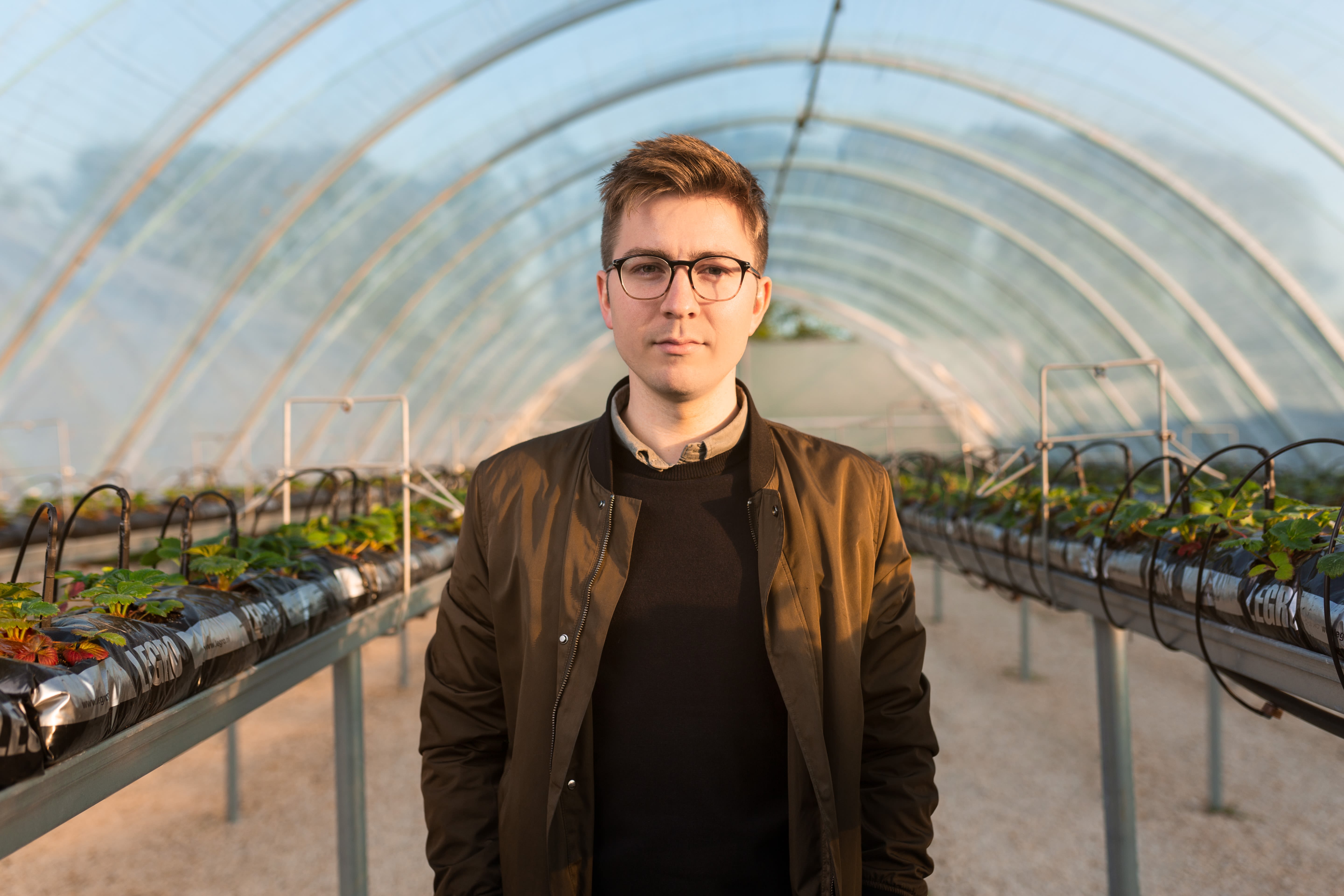 Male mechanical engineer in polytunnels
