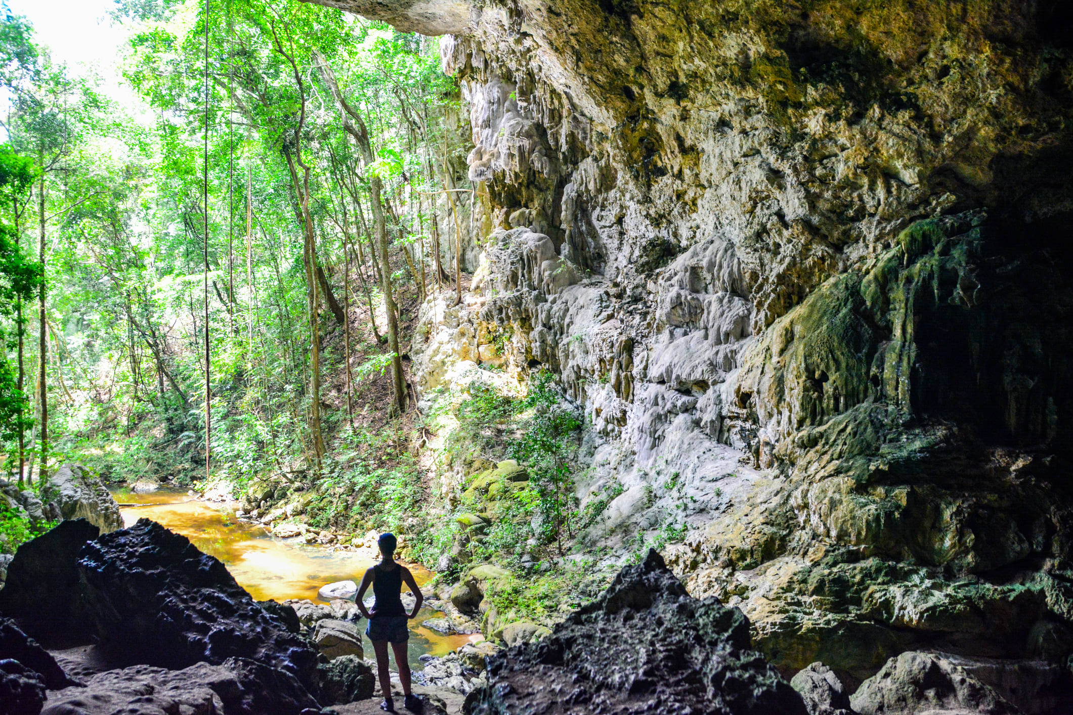 Rio Frio Cave - Mountain Pine Ridge Forest Reserve - Belize - Central America