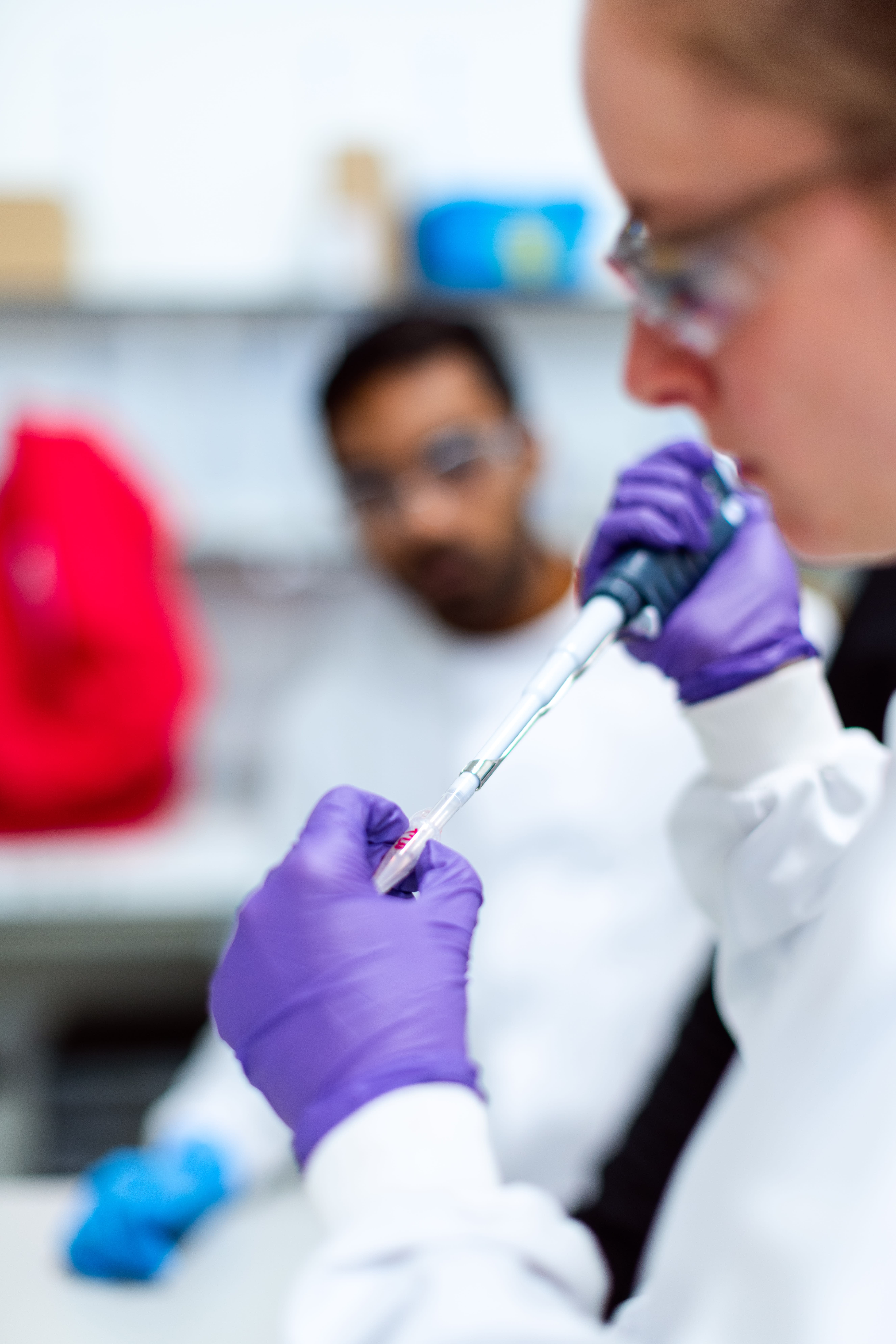 Biomedical engineers conduct medical experiments in the laboratory