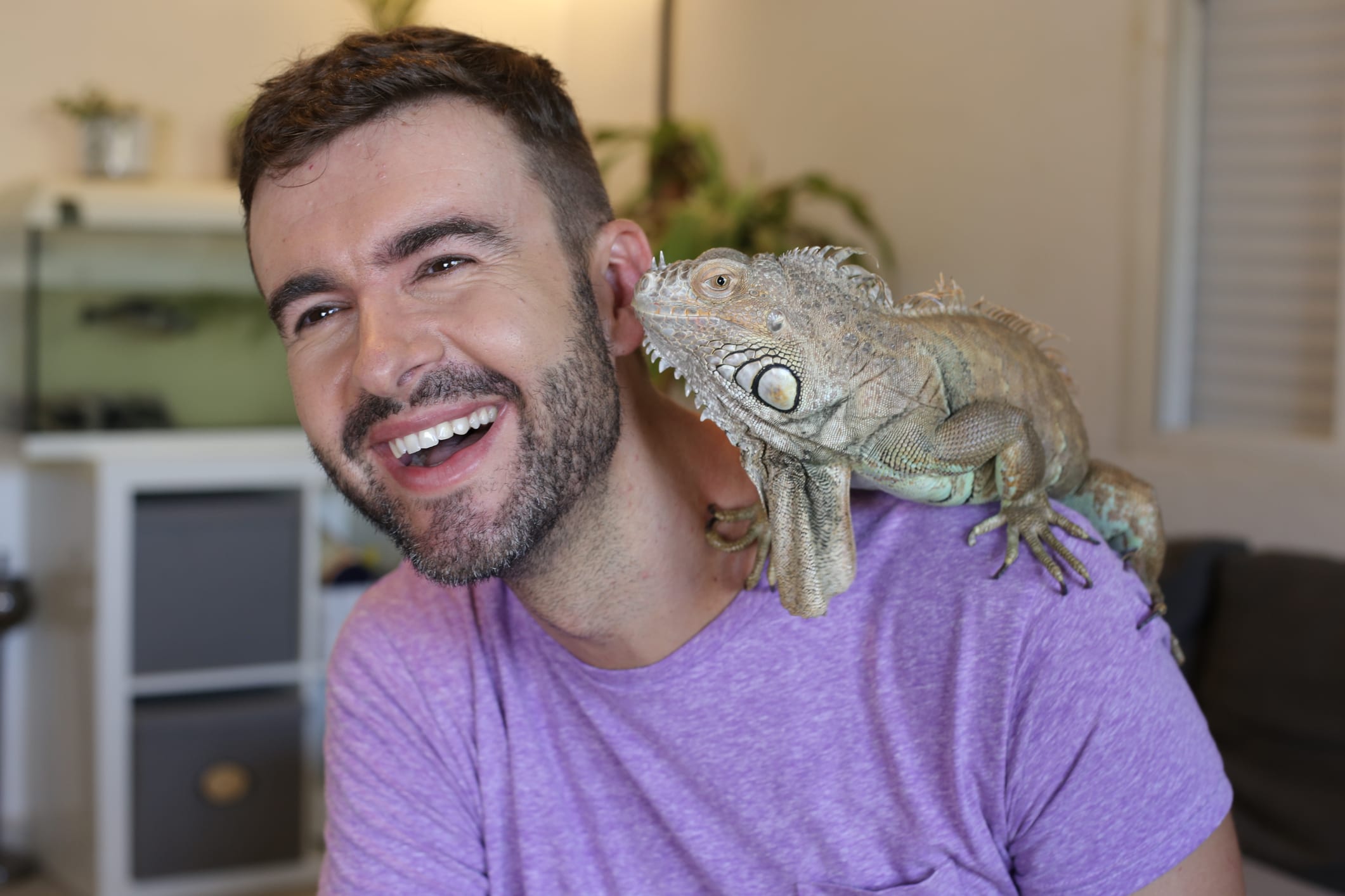 Young man and his gorgeous green iguana pet