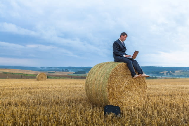 Contemporary businessman farmer in the landscape