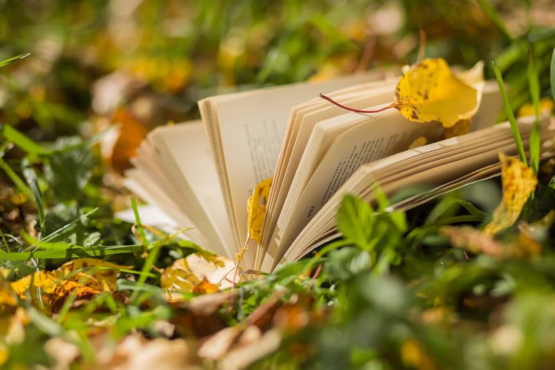 old book forgotten on the green grass, yellow leaves fall in a garden