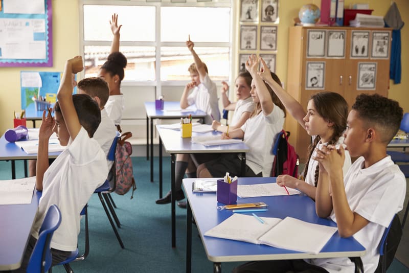 Pupils raise hands in a lesson at primary school, side view