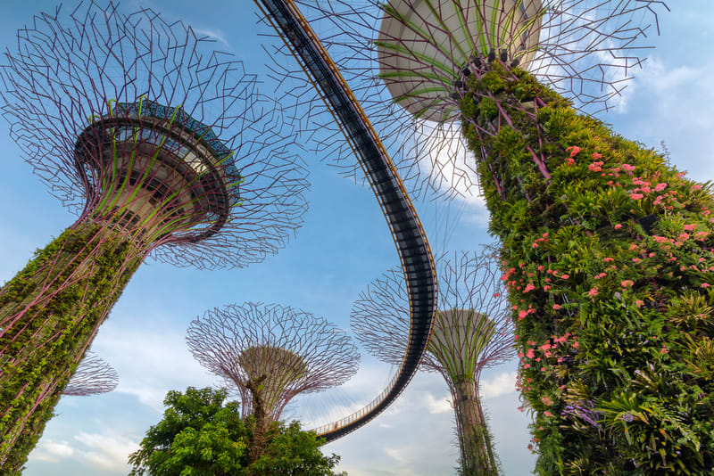 Supertrees at Gardens by the Bay -Singapore