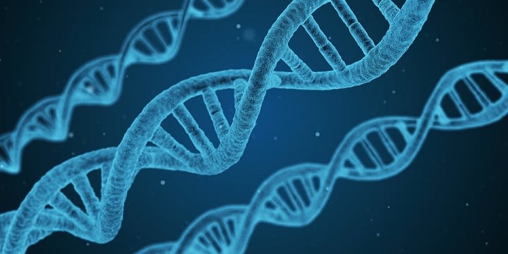 Biology_dna-1811955_960_720