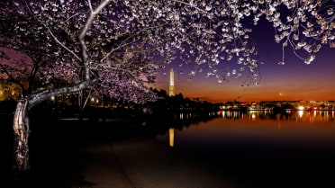 Potomac