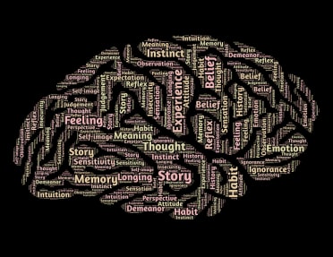 Intelijen-544406_960_720 Intelijen-544406_960_720