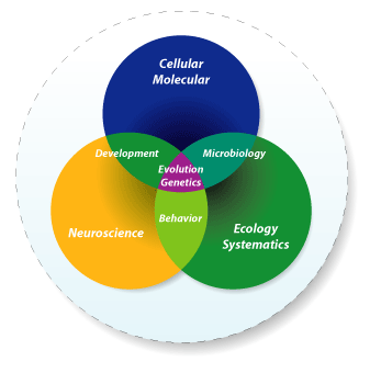 105974_research-research-integration-graph.gif