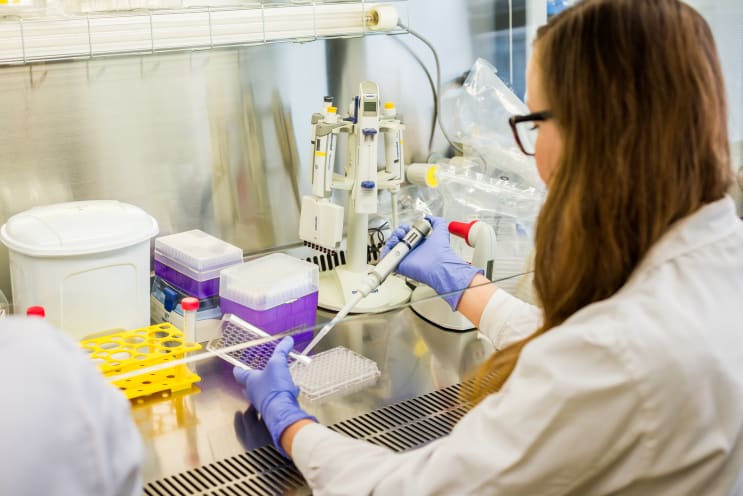 Students in the Microbiology and molecular biotechnology laboratories Students in the Microbiology and molecular biotechnology laboratories