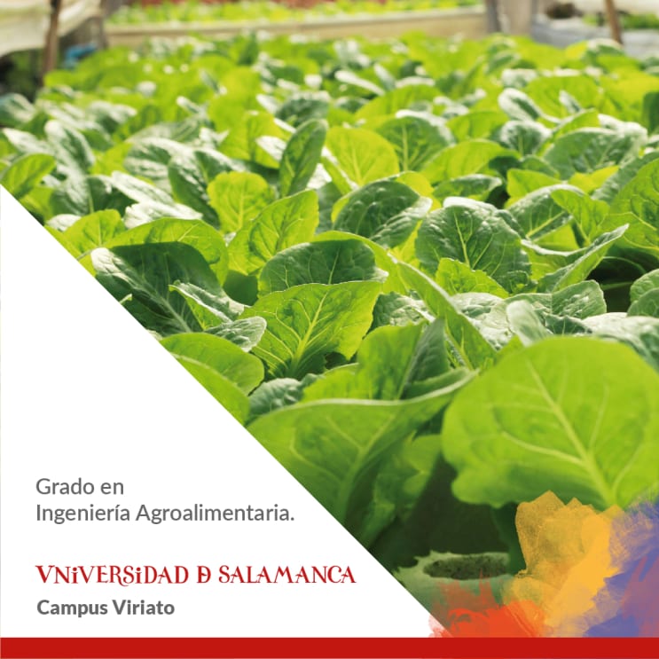 115641_zamora_agroalimentaria.jpg