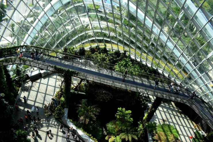 The World Inside, Singapore The World Inside, Singapore