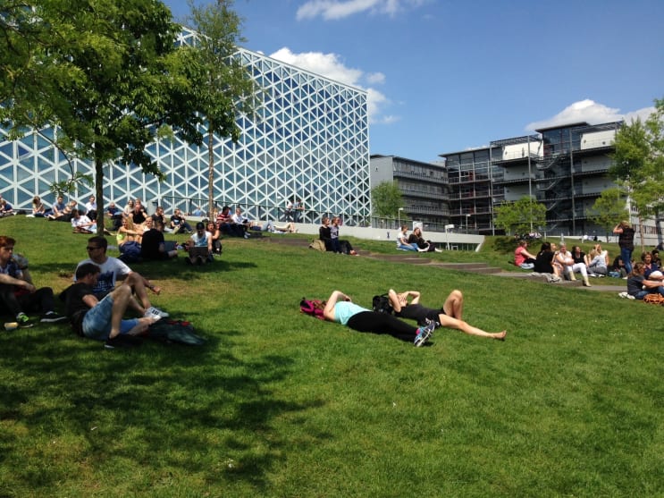 Studenten Scheide Bruenette Masturbieren