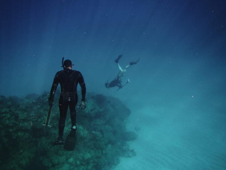 two free divers mid-hunt two free divers mid-hunt
