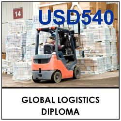 120485_118260_GlobalLogisticsDiploma.jpg