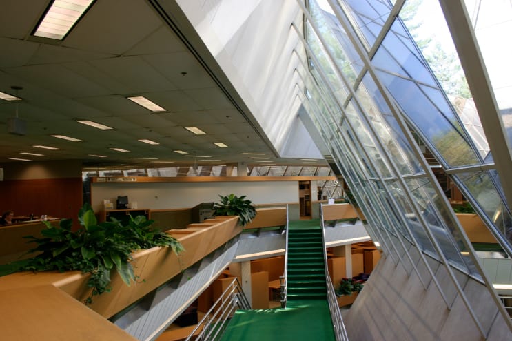 124137_Library_Skylights6.jpg