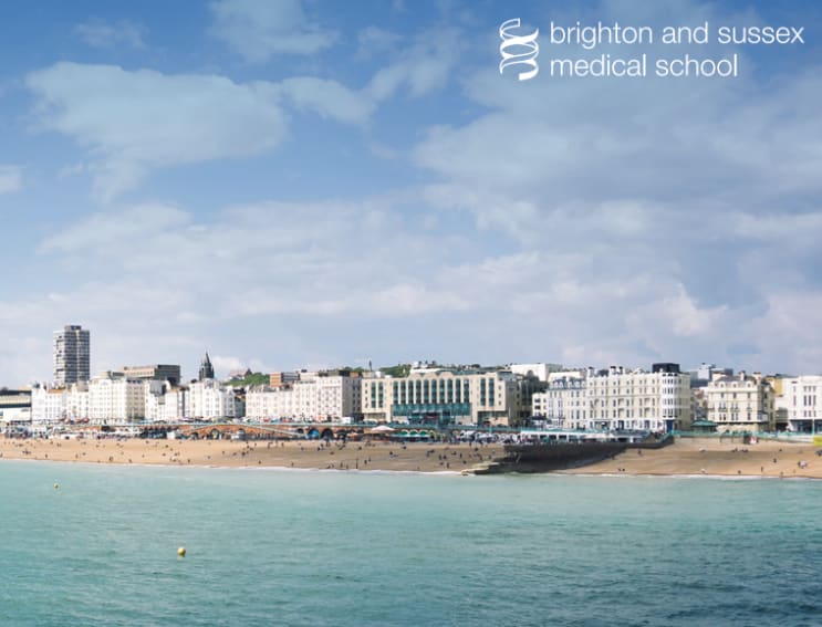 Brighton and Sussex Medical School in United Kingdom