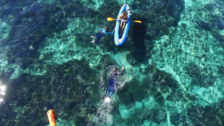 Msc In Science Conservation Valorization Of Marine Resources Nice France Online Msc 2021
