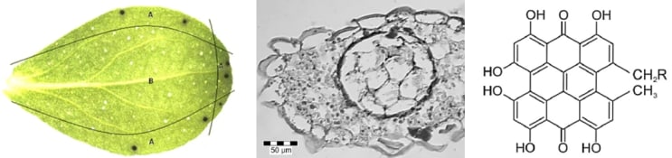 132427_banner_genetics2.png