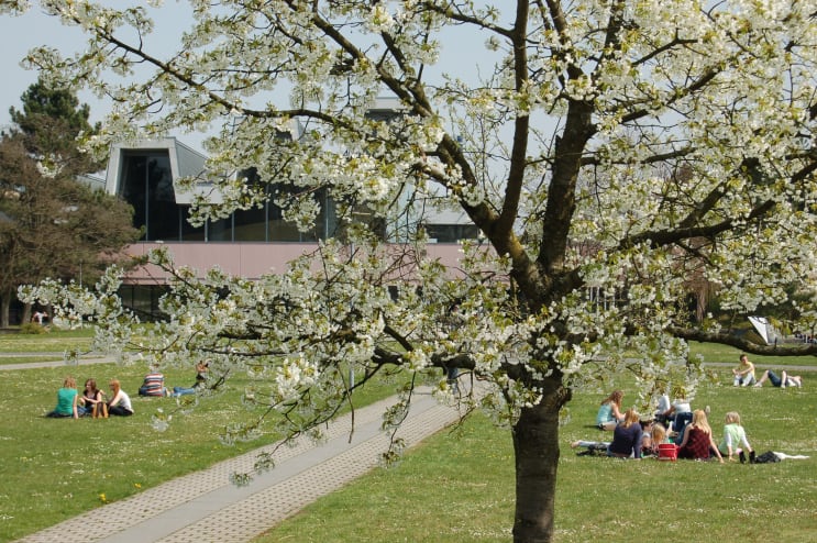 133818_campus.jpg