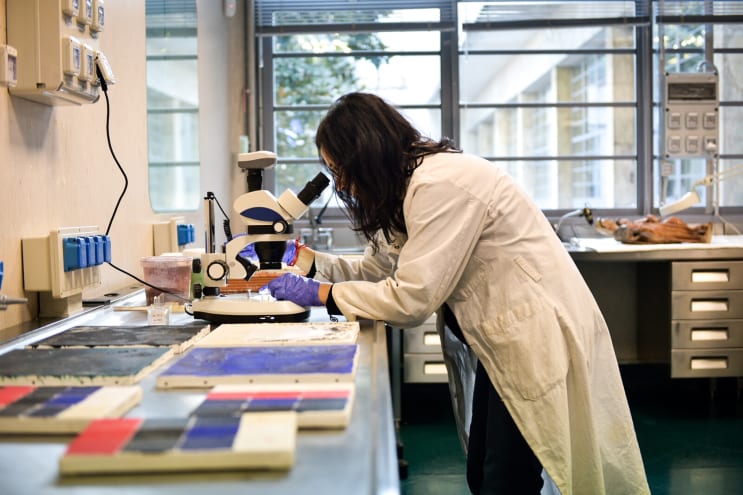 Scienze E Tecnologie Per La Conservazione Dei Beni Culturali