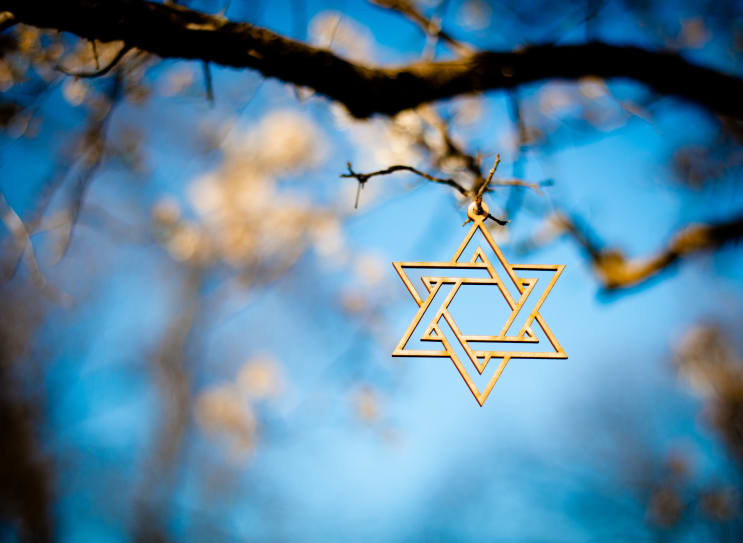 The star of David with Blossoms on a fruit tree in spring.