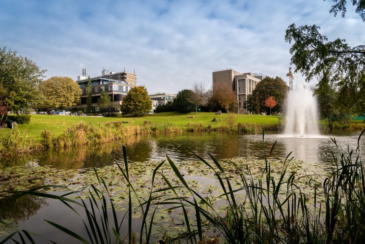 The lake University of Bath