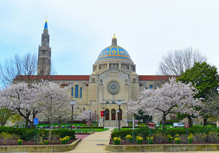 The Catholic University of America in USA - Bachelor Degrees