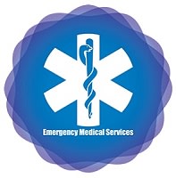 ems1 ems1