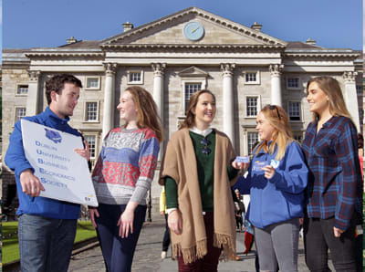 TCD TCD