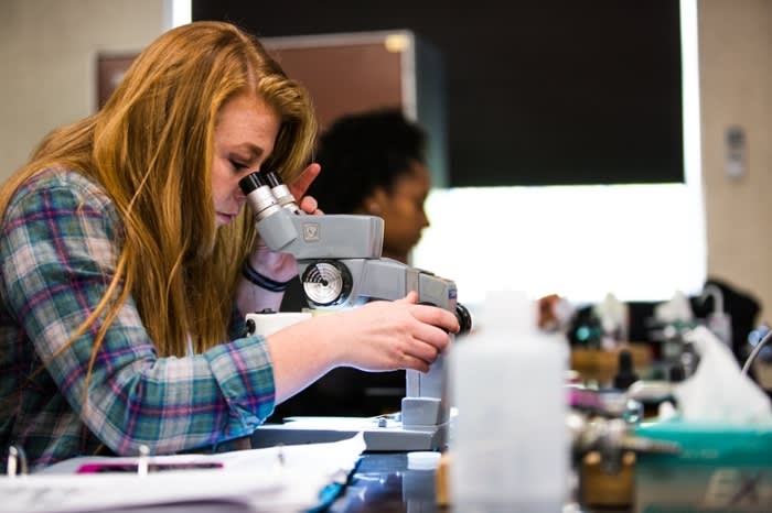 Lees McRae Biology 2 Lees McRae Biology 2