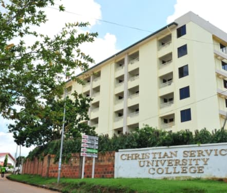 UG studies UG studies
