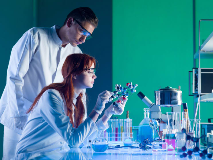 All You Have Ever Wanted To Know About Engineering Studies