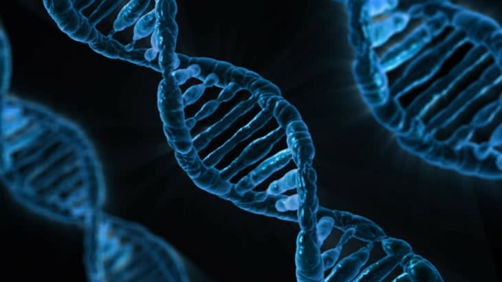 Dna-163466_1280 Dna-163466_1280