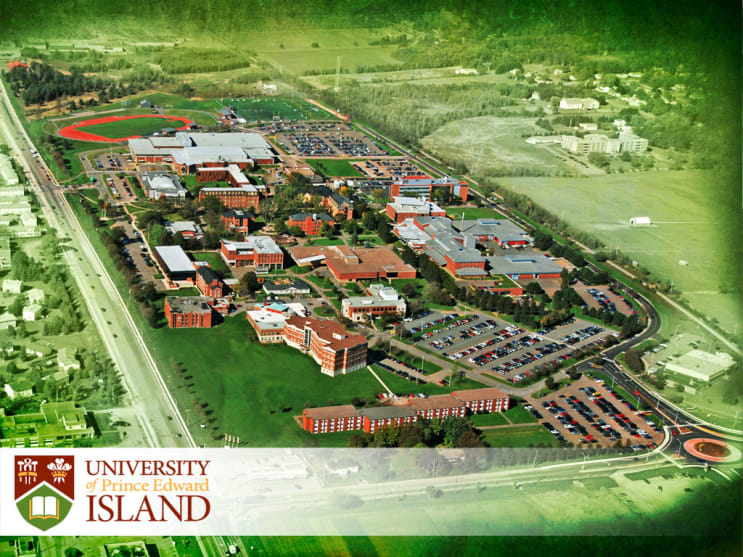 University Of Prince Edward Island In Canada Bachelor Degrees