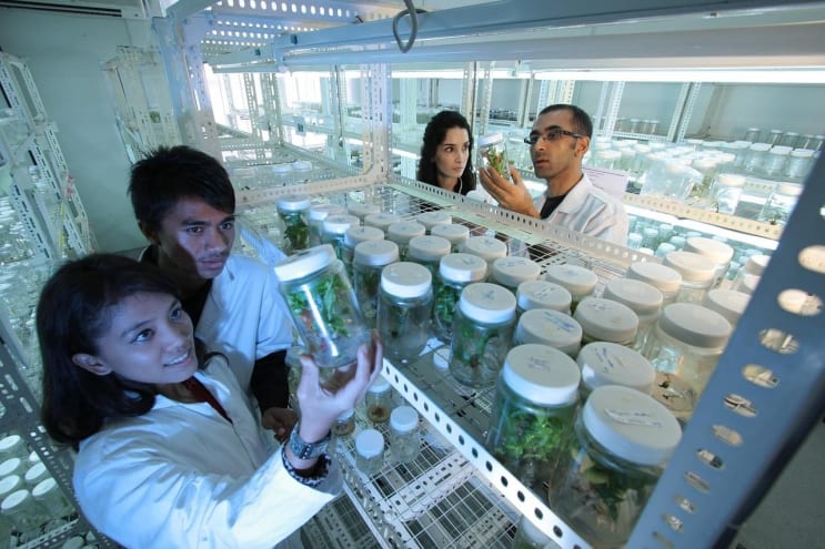 laboratory scientists research innovation technology biotechnology agriculture laboratory laboratory laboratory laboratory laboratory scientists biotechnology laboratory scientists research innovation technology biotechnology agriculture laboratory laboratory laboratory laboratory laboratory scientists biotechnology