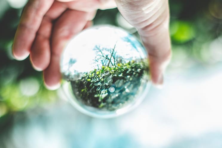 97977_pexels-photo-1047892.png