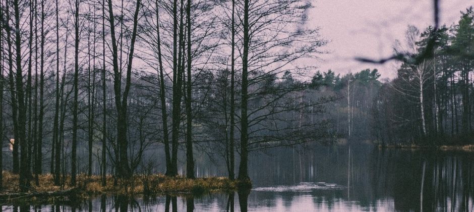 Belajar di Latvia: Pendidikan di Latvia